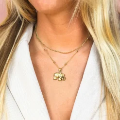 Goudkleurige ketting met olifant bedeltje
