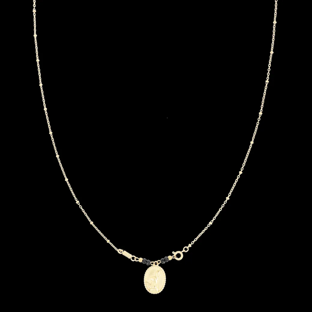 Goudkleurig/zwarte ketting met een haas