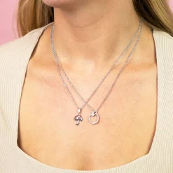 Zilverkleurige ketting met een appel
