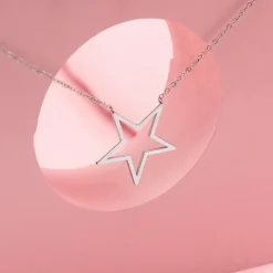 Zilverkleurige ketting met grote ster