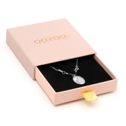 Zilverkleurig/zwarte ketting met een haas